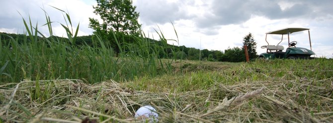 Słubickie Pole Golfowe Dębowa Polana